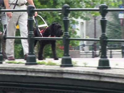 Bouvier ATANGA AMY v CAYA'S HOME